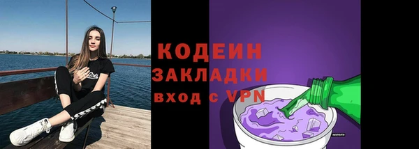 мдпв Верхний Тагил