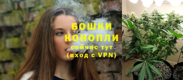 мдпв Верхний Тагил