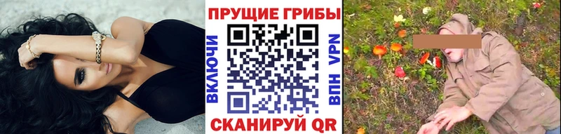 Галлюциногенные грибы GOLDEN TEACHER  сколько стоит  Хабаровск 